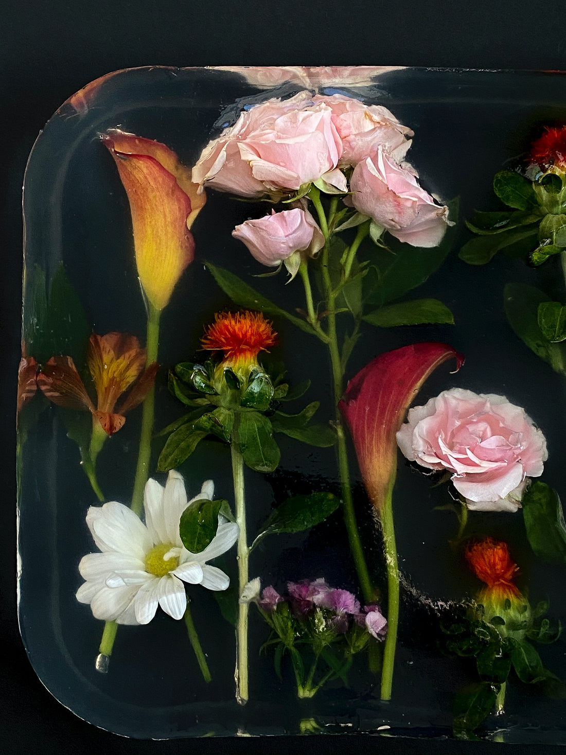 Why is rose water so good for your skin?